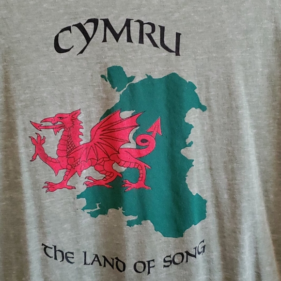 Men's extra large graphic t-shirt with dragon - Picture 2 of 4